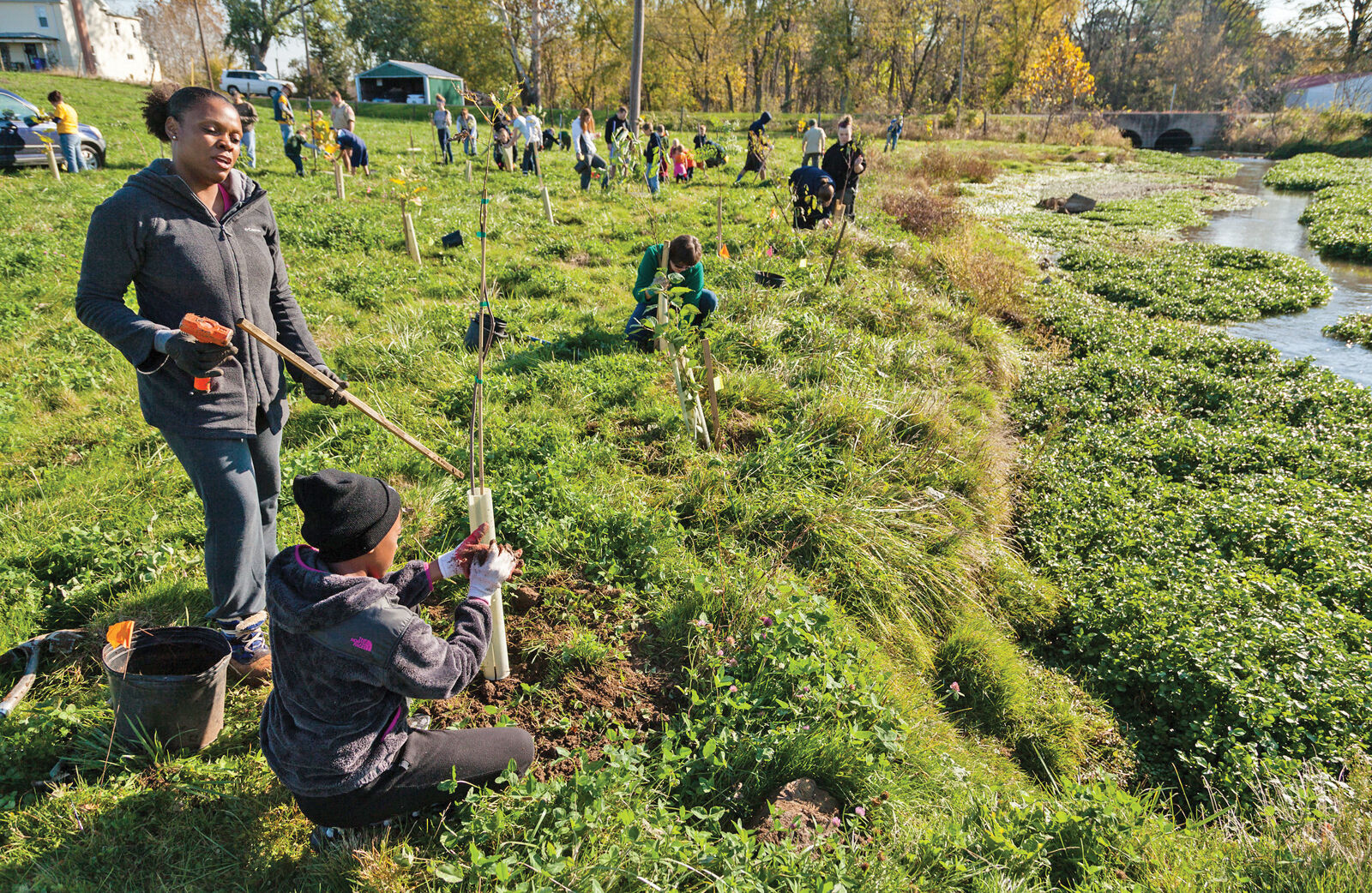 Tree planting in Frederick County, MD